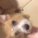 More Random Atti Pics (619807)