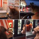 Atti at Whataburger (619851)