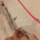 New Atti Pics (622111)