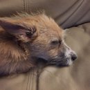 New Atti Pics (622155)