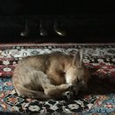 Hanging at Broadmoor