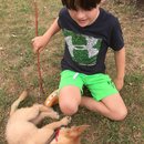 Jonas and Link Day 2 (623134)