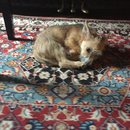 Hanging at Broadmoor (623647)