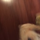 Hanging at Broadmoor (623653)