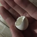 Hanging at Broadmoor (623728)