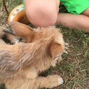 Jonas and Link Day 2 (623076)