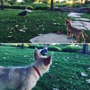 Atti at Mueller Lake Park