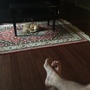 Hanging at Broadmoor (623704)