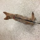 Atti's Last Shots (623626)