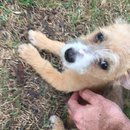 Jonas and Link Day 2 (623100)