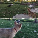 Atti at Mueller Lake Park (623715)