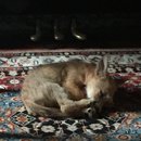 Hanging at Broadmoor (623678)