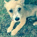 Jonas and Link Day 2 (623067)