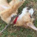 Jonas and Link Day 2 (623101)