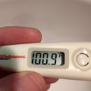 Jonas and Link Day 2 (623142)