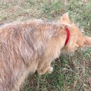 Jonas and Link Day 2 (623105)