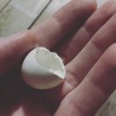 Hanging at Broadmoor (623635)