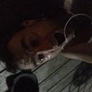 New Running Segment (623798)