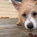 Atti Adventures (625248)