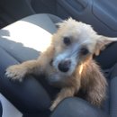 Atti Adventures (625250)