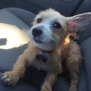 Atti Adventures (625273)