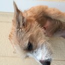 Atti Adventures (625243)