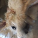 Atti Adventures (625249)