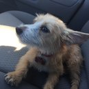 Atti Adventures (625267)