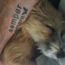 Atti Adventures (625271)