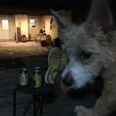 Atti Adventures (625251)