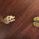 Hanging at Broadmoor (623786)