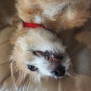 Atti Adventures (625263)