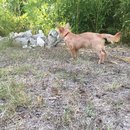 Atti Adventures (625269)