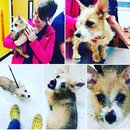 Atti Adventures (625315)