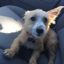 Atti Adventures (625397)