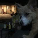 Atti Adventures (625518)