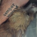 Atti Adventures (625508)