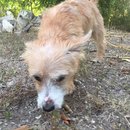 Atti Adventures (625305)