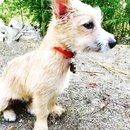 Atti Adventures (625343)