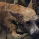 Atti Adventures (625317)