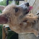 Atti Adventures (625428)