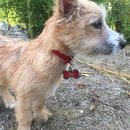 Atti Adventures (625342)