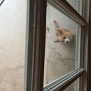 Atti Adventures (625387)