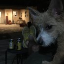 Atti Adventures (625372)