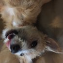 Atti Adventures (625364)