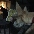 Atti Adventures (625462)