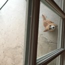 Atti Adventures (625525)