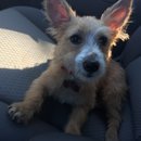 Atti Adventures (625502)