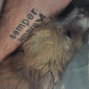 Atti Adventures (625304)