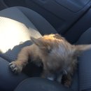 Atti Adventures (625359)